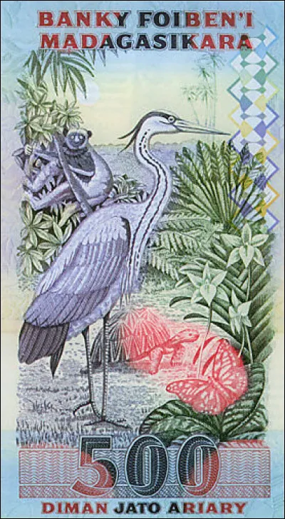 Au-dessus du héron, vous pouvez voir un autre animal, cliquez sur la photo pour l'agrandir !