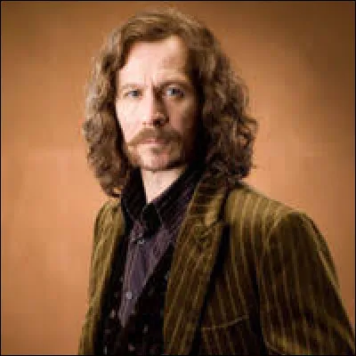 S : Sirius Black apprend l'arbre généalogique de sa famille. Qui en fait partie ?