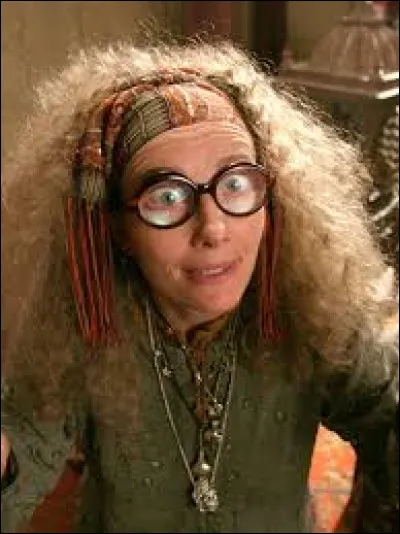 T : Sibylle Trelawney a dit : « Je ne pourrai jamais, dit-elle. Si je m'assieds parmi vous, nous serons treize à table ! Ce serait le signe d'un grand malheur ! N'oublions jamais que lorsqu'il y a treize convives autour d'une table, le premier qui se lève sera le premier à mourir ! »

À qui le dit-elle ?