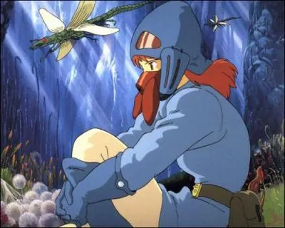 Dans quel Miyazaki voit-on cette image ?