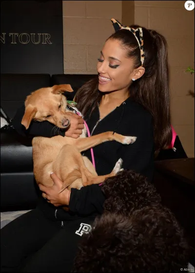 Quand a-t-elle adopté son chien Toulouse ?