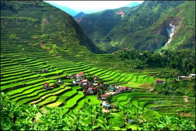 Complétez les paroles des "Sunlights des Tropiques" de Gilbert Montagné : "Sous l'Équateur du Brésil, entre Cuba et...".