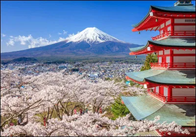 Complétez les paroles de "Voyage Voyage" de Desireless : "Sur les Dunes du Sahara, des îles Fidji...".
