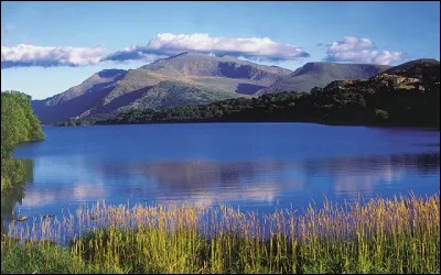 Restons avec Sardou. Quel grand lac, faisant frontière entre la Tanzanie et la République Démocratique du Congo, évoque-t-il dans "Afrique Adieu" ?