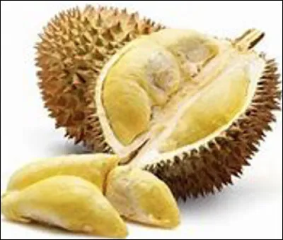 Quel est ce fruit exotique à carapace épineuse qui est connu pour son goût particulier et sa très forte odeur qui le rende interdit dans les transports en commun ?