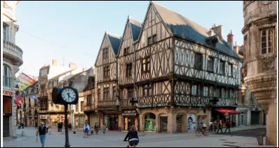 Quelle ville est réputée pour sa moutarde ?