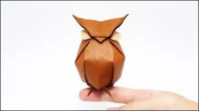 Comment se nomme cet animal ?