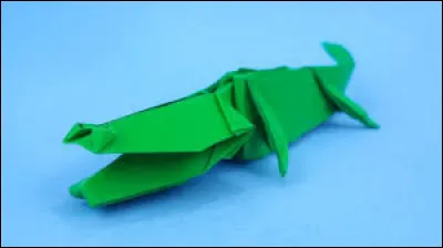 Quel est le nom de cet animal ?