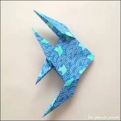 Comment se nomme cet animal ?