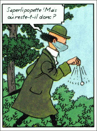 Chacun vaque à ces occupations habituelles... Ce matin, le distrait Tournesol était à la recherche de quelque chose : mais de quoi au juste ?