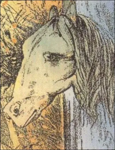 Tu vois un cheval ! Mais il y a un autre animal. Lequel ?