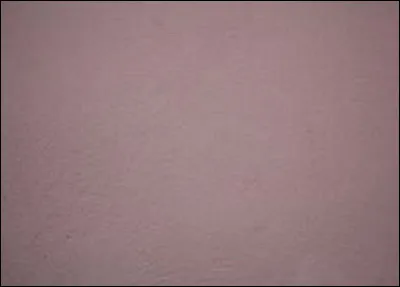 Dans quel domaine le terme ''puce'' remplace-t-il souvent le nom de couleur ''marron'' ?