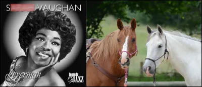 Encore un truc à monter sur ses grands cheveux : ça crins !