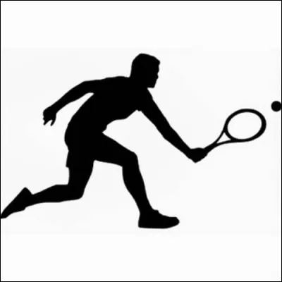 Quel tennisman détient le record du nombre de victoires en Grand Chelem après 1968 ? (en 2020)