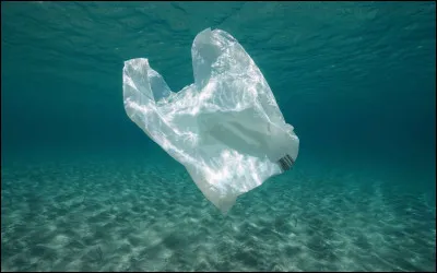 En combien de temps, le plastique se dégrade-t-il dans l'eau ?