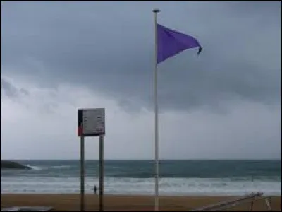 Qu'indique le drapeau violet réglementaire sur la plage ? Il informe les baigneurs ...