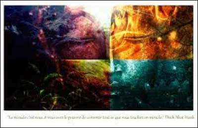 Quel élément te correspond le plus ?