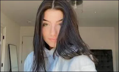 Charli a déjà fait partie de ...