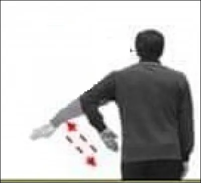 Que signifie cette gestuelle en arbitrage ?