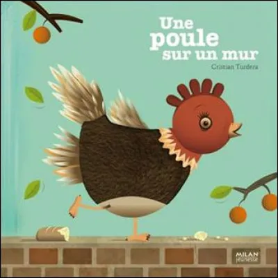 Pic comme picoter : dans cette très vieille comptine "Une poule sur un mur qui picotait...". Que picotait-elle ?