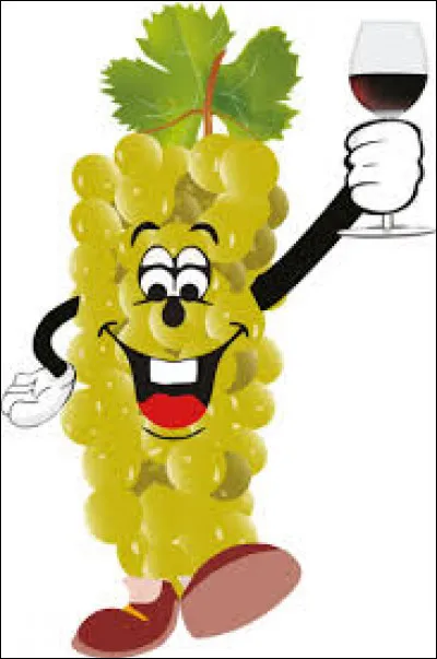 Pic comme picolo : qu'est-ce que c'est ?