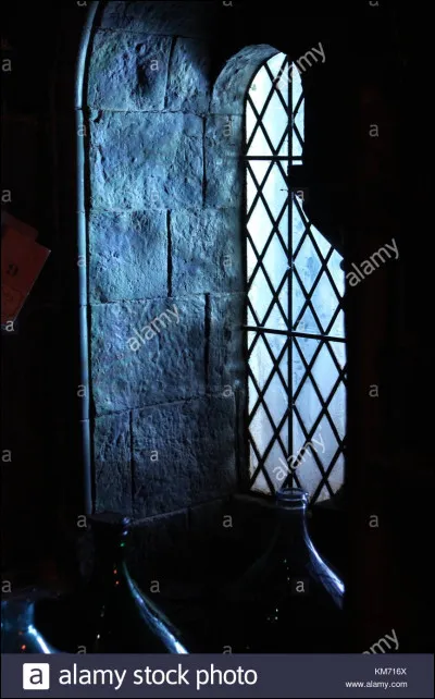 Quand Harry est dans la salle commune de Serdaigle, il constate qu'elle a une vue spectaculaire sur...