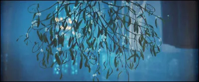 De quoi le gui est-il souvent infesté ?