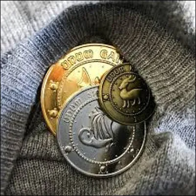 Quel type de pièce l'Armée de Dumbledore a-t-elle utilisée pour communiquer ?