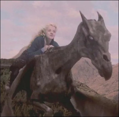 Qui, parmi les membres suivants de l'AD, est le premier à monter sur son Sombral pour se rendre au Ministère de la Magie ?