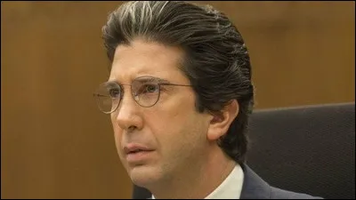 Quel est le personnage joué par David Schwimmer ?