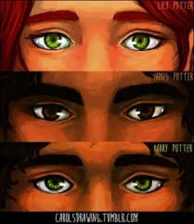 De quelle forme sont les yeux de Lily ?