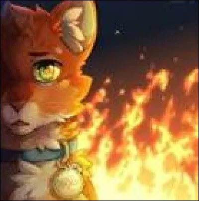 Qui est la soeur de ce chat ?