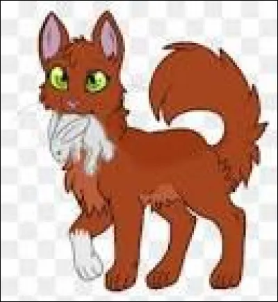 Qui est la soeur de ce chat ?