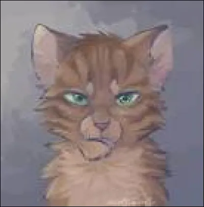 Qui est le frère de ce chat ?