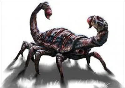 De quel mélange de créatures viennent ces animaux rares et passionnants appelés chacun Scroutt à pétard ?