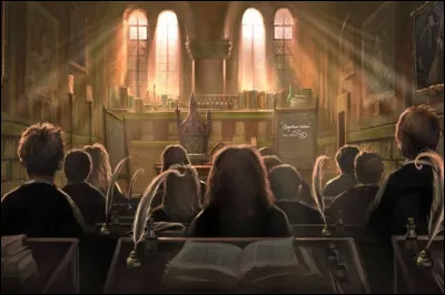 Lors de l'examen de métamorphose de troisième année d'Harry, quelle tâche délicate a été mentionnée ?