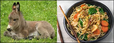 Parfois, je me dis que vous êtes courageux, tout de même, à vous plissez les yeux comme ça devant des petites images à l'écran...