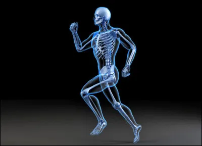 Où peut-on avoir des ''envies'' sur le corps humain, excepté les taches de vin ?