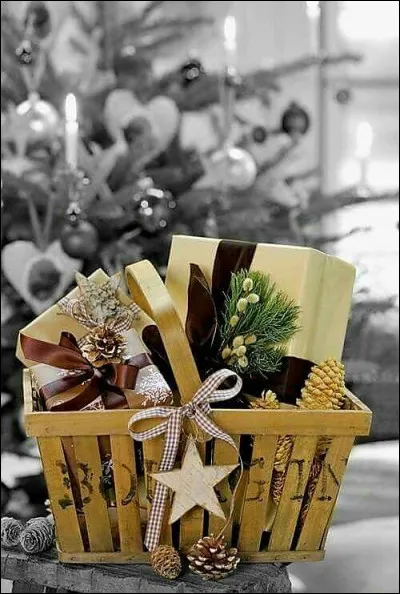 Moquette a pensé à son copain Synapse ! Il lui offre le dernier CD de Cabrel !