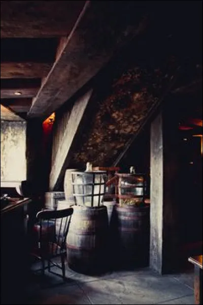 Dans les Reliques de la Mort, quel portrait a aidé Harry, Ron et Hermione à atteindre Poudlard depuis la Tête de Sanglier ?