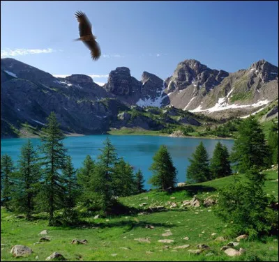 Barbara : l'aigle noir