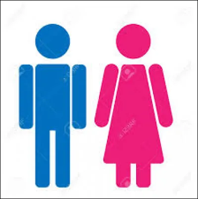 Es-tu un garçon ou une fille ?