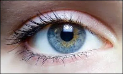 De quelle couleur sont tes yeux ?