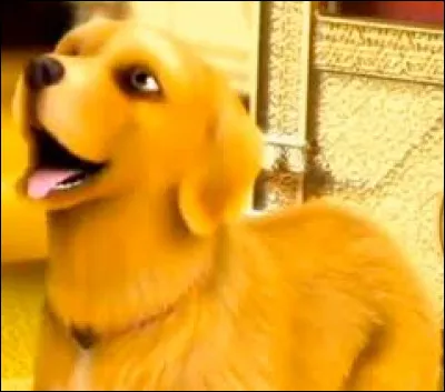 Comment s'appelle le chien ?