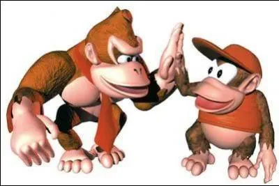 Combien y a-t-il de 'Donkey Kong Country 'sur Super Nes ?