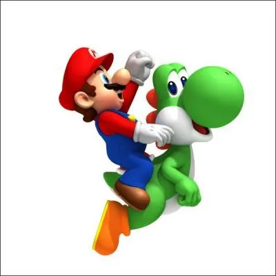 Dans 'New Mario Bros wii' quelle couleur de Yoshi il n'y a pas ?