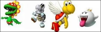 Dans 'Mario Kart Double Dash 'sur game cube quel est le personnage intrus ?