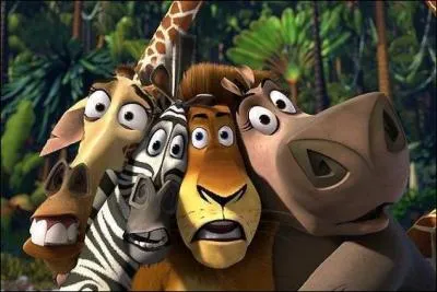 Sorti en 2005 par DreamWorks Animation, il est ralis par Eric Darnell et Tom McGrath. Le film met en scne un lion, une girafe, un hippopotame et un zbre. Deux suites lui seront donnes.