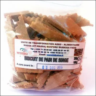 De quel arbre le pain de singe est-il le fruit ?