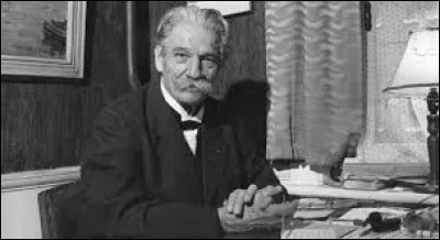 Qui était Albert Schweitzer avant tout ?